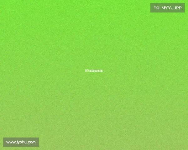 80后电子游戏经典回顾 80后电子游戏经典回顾